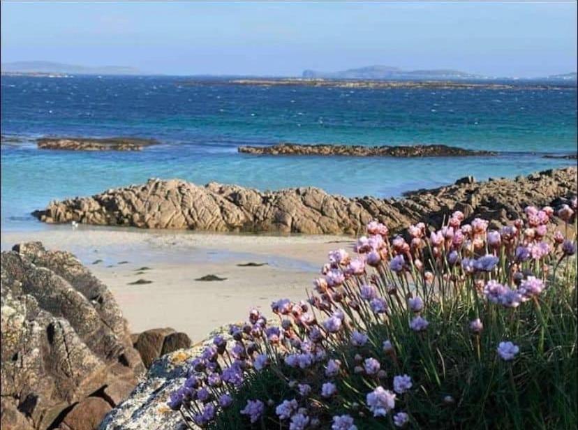 Drop Anchor House, Spacious 3 Bedroom Apartment, Fabulous Sea Views Cleggan Eksteriør bilde
